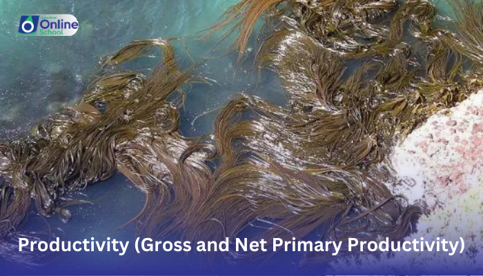 Lesson 05: Explanation of Productivity (Gross and Net Primary Productivity)
